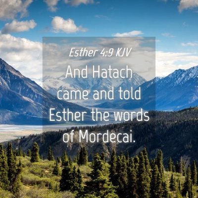 Picture 04 - Esther 4:9 KJV - And Hatach came and told Esther the words of - Bible Verse Picture