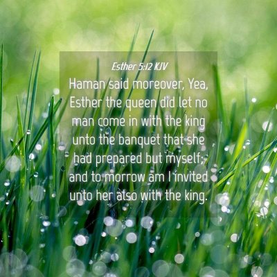 Picture 04 - Esther 5:12 KJV - Haman said moreover, Yea, Esther the queen did - Bible Verse Picture