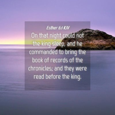 Picture 04 - Esther 6:1 KJV - On that night could not the king sleep, and he - Bible Verse Picture