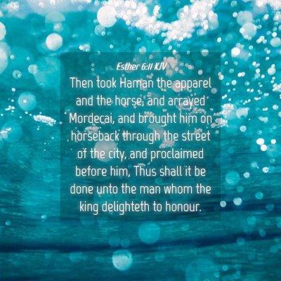 Picture 04 - Esther 6:11 KJV - Then took Haman the apparel and the horse, and - Bible Verse Picture