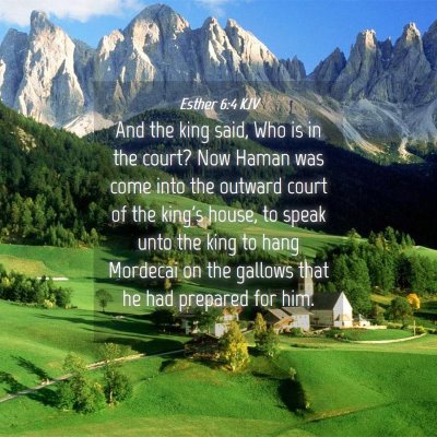 Picture 04 - Esther 6:4 KJV - And the king said, Who is in the court? Now Haman - Bible Verse Picture