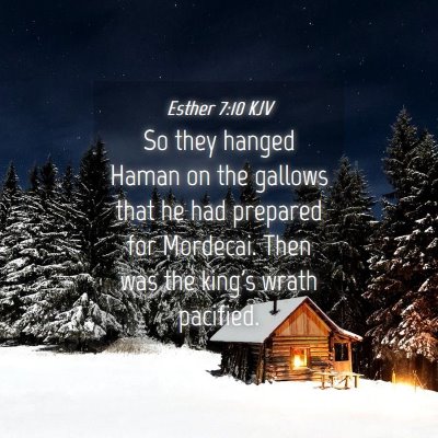 Picture 04 - Esther 7:10 KJV - So they hanged Haman on the gallows that he had - Bible Verse Picture