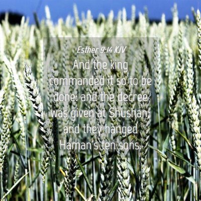 Picture 04 - Esther 9:14 KJV - And the king commanded it so to be done: and the - Bible Verse Picture
