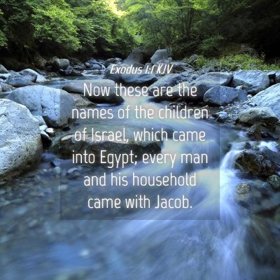 Picture 04 - Exodus 1:1 KJV - Now these are the names of the children of - Bible Verse Picture