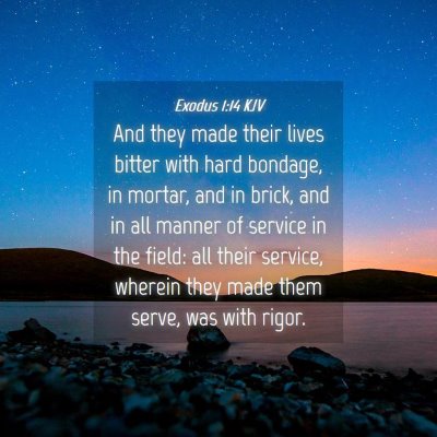 Picture 04 - Exodus 1:14 KJV - And they made their lives bitter with hard - Bible Verse Picture