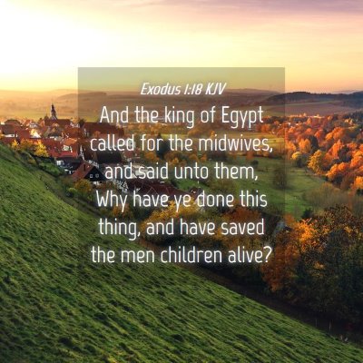 Picture 04 - Exodus 1:18 KJV - And the king of Egypt called for the midwives, - Bible Verse Picture