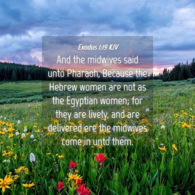 Picture 04 - Exodus 1:19 KJV - And the midwives said unto Pharaoh, Because the - Bible Verse Picture