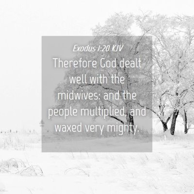 Picture 04 - Exodus 1:20 KJV - Therefore God dealt well with the midwives: and - Bible Verse Picture