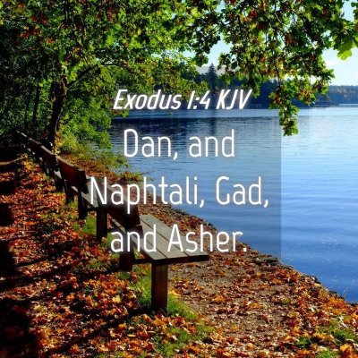Picture 04 - Exodus 1:4 KJV - Dan, and Naphtali, Gad, and - Bible Verse Picture