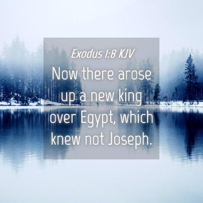 Picture 04 - Exodus 1:8 KJV - Now there arose up a new king over Egypt, which - Bible Verse Picture