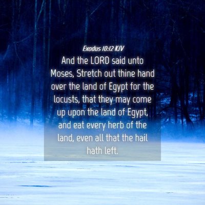 Picture 04 - Exodus 10:12 KJV - And the LORD said unto Moses, Stretch out thine - Bible Verse Picture