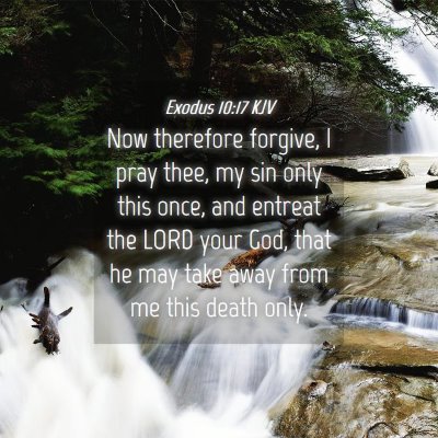 Picture 04 - Exodus 10:17 KJV - Now therefore forgive, I pray thee, my sin only - Bible Verse Picture