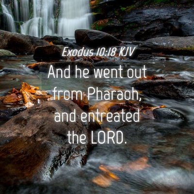 Picture 04 - Exodus 10:18 KJV - And he went out from Pharaoh, and entreated the - Bible Verse Picture