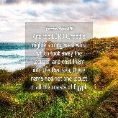 Picture 04 - Exodus 10:19 KJV - And the LORD turned a mighty strong west wind, - Bible Verse Picture