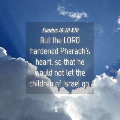 Picture 04 - Exodus 10:20 KJV - But the LORD hardened Pharaoh's heart, so that he - Bible Verse Picture