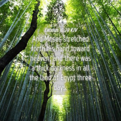 Picture 04 - Exodus 10:22 KJV - And Moses stretched forth his hand toward heaven; - Bible Verse Picture