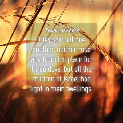 Picture 04 - Exodus 10:23 KJV - They saw not one another, neither rose any from - Bible Verse Picture