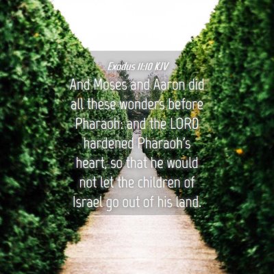 Picture 04 - Exodus 11:10 KJV - And Moses and Aaron did all these wonders before - Bible Verse Picture