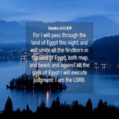 Picture 04 - Exodus 12:12 KJV - For I will pass through the land of Egypt this - Bible Verse Picture