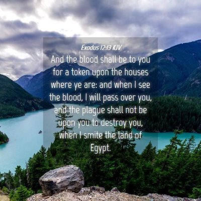Picture 04 - Exodus 12:13 KJV - And the blood shall be to you for a token upon - Bible Verse Picture