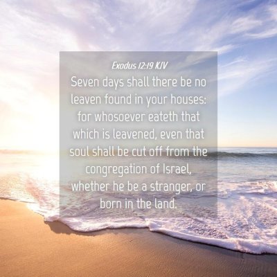 Picture 04 - Exodus 12:19 KJV - Seven days shall there be no leaven found in your - Bible Verse Picture