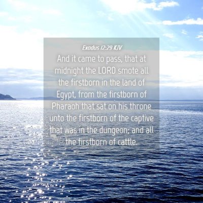 Picture 04 - Exodus 12:29 KJV - And it came to pass, that at midnight the LORD - Bible Verse Picture