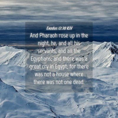 Picture 04 - Exodus 12:30 KJV - And Pharaoh rose up in the night, he, and all his - Bible Verse Picture