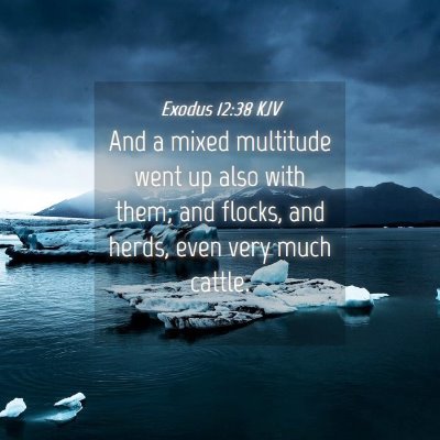 Picture 04 - Exodus 12:38 KJV - And a mixed multitude went up also with them; and - Bible Verse Picture