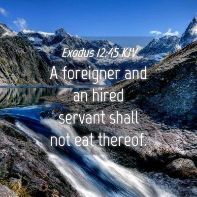 Picture 04 - Exodus 12:45 KJV - A foreigner and an hired servant shall not eat - Bible Verse Picture