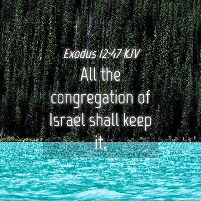 Picture 04 - Exodus 12:47 KJV - All the congregation of Israel shall keep - Bible Verse Picture