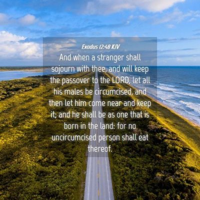 Picture 04 - Exodus 12:48 KJV - And when a stranger shall sojourn with thee, and - Bible Verse Picture