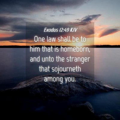 Picture 04 - Exodus 12:49 KJV - One law shall be to him that is homeborn, and - Bible Verse Picture