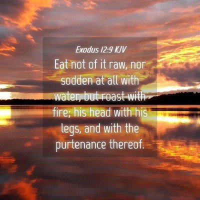 Picture 04 - Exodus 12:9 KJV - Eat not of it raw, nor sodden at all with water, - Bible Verse Picture