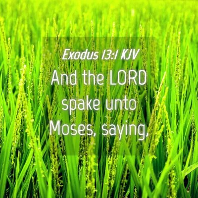 Picture 04 - Exodus 13:1 KJV - And the LORD spake unto Moses, - Bible Verse Picture