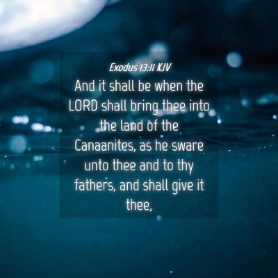 Picture 04 - Exodus 13:11 KJV - And it shall be when the LORD shall bring thee - Bible Verse Picture