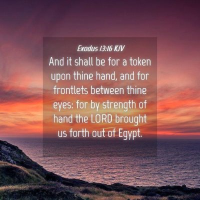 Picture 04 - Exodus 13:16 KJV - And it shall be for a token upon thine hand, and - Bible Verse Picture