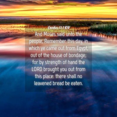 Picture 04 - Exodus 13:3 KJV - And Moses said unto the people, Remember this - Bible Verse Picture