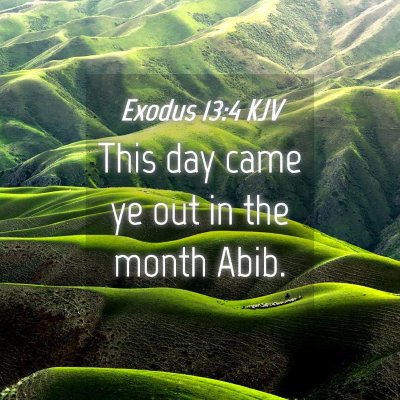 Picture 04 - Exodus 13:4 KJV - This day came ye out in the month - Bible Verse Picture