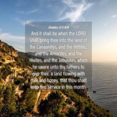 Picture 04 - Exodus 13:5 KJV - And it shall be when the LORD shall bring thee - Bible Verse Picture