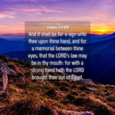 Picture 04 - Exodus 13:9 KJV - And it shall be for a sign unto thee upon thine - Bible Verse Picture