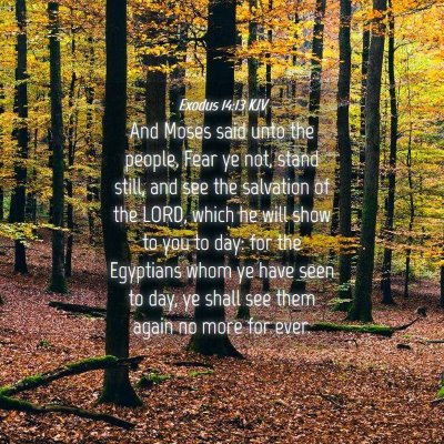 Picture 04 - Exodus 14:13 KJV - And Moses said unto the people, Fear ye not, - Bible Verse Picture