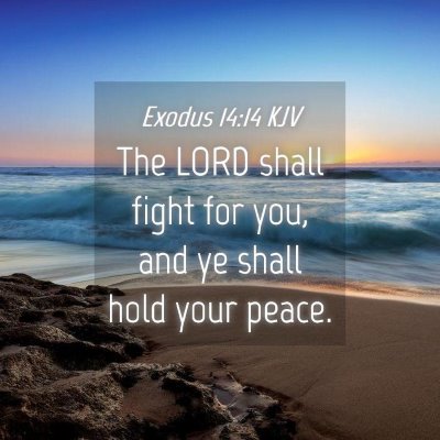 Picture 04 - Exodus 14:14 KJV - The LORD shall fight for you, and ye shall hold - Bible Verse Picture