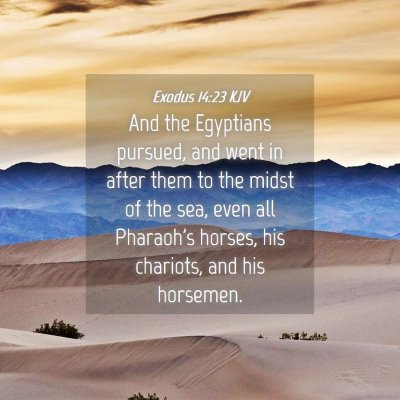 Picture 04 - Exodus 14:23 KJV - And the Egyptians pursued, and went in after them - Bible Verse Picture