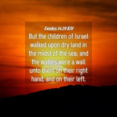 Picture 04 - Exodus 14:29 KJV - But the children of Israel walked upon dry land - Bible Verse Picture