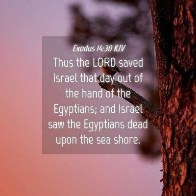 Picture 04 - Exodus 14:30 KJV - Thus the LORD saved Israel that day out of the - Bible Verse Picture