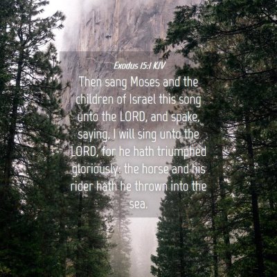 Picture 04 - Exodus 15:1 KJV - Then sang Moses and the children of Israel this - Bible Verse Picture