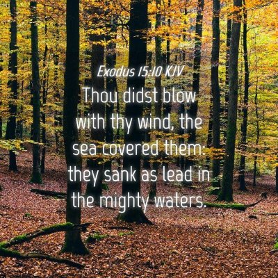 Picture 04 - Exodus 15:10 KJV - Thou didst blow with thy wind, the sea covered - Bible Verse Picture