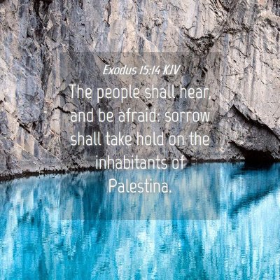 Picture 04 - Exodus 15:14 KJV - The people shall hear, and be afraid: sorrow - Bible Verse Picture