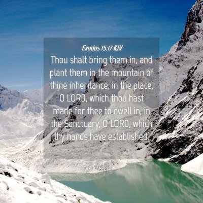 Picture 04 - Exodus 15:17 KJV - Thou shalt bring them in, and plant them in the - Bible Verse Picture