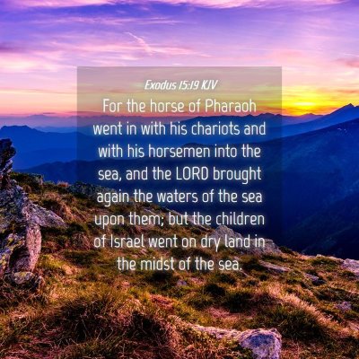 Picture 04 - Exodus 15:19 KJV - For the horse of Pharaoh went in with his - Bible Verse Picture